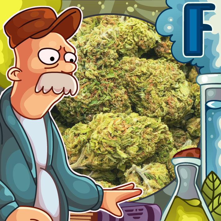 Бошки травка конопля