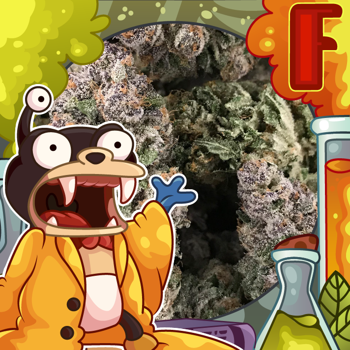 Бошки закладки